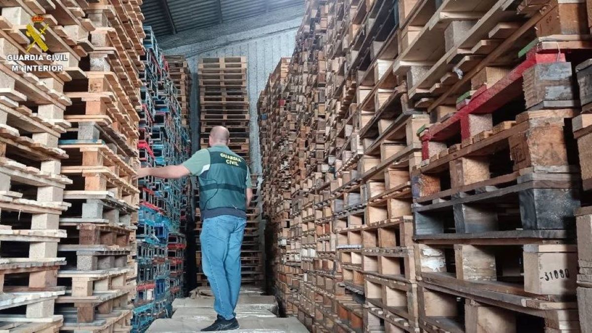 Palés intervenidos. Foto: Guardia Civil