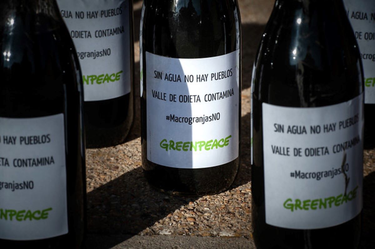Foto: Greenpeace