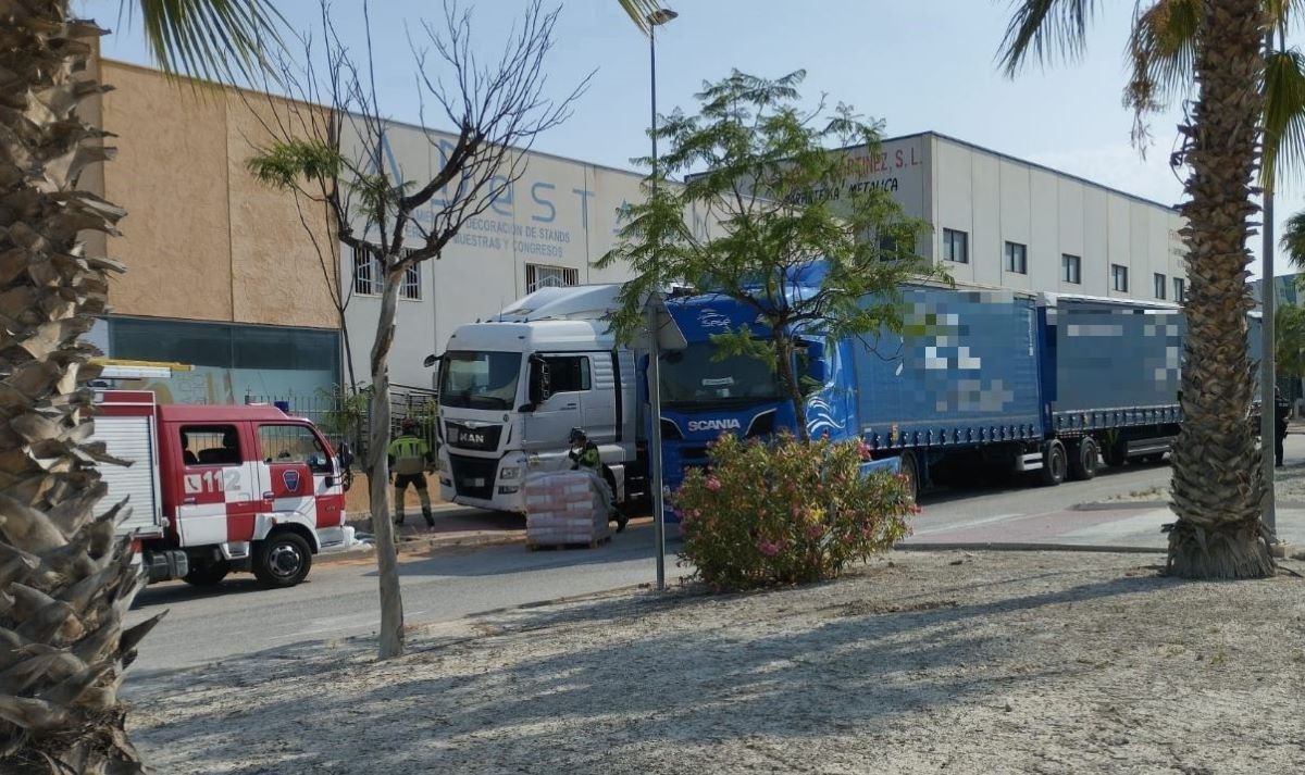 Imagen facilitada por el CEIS