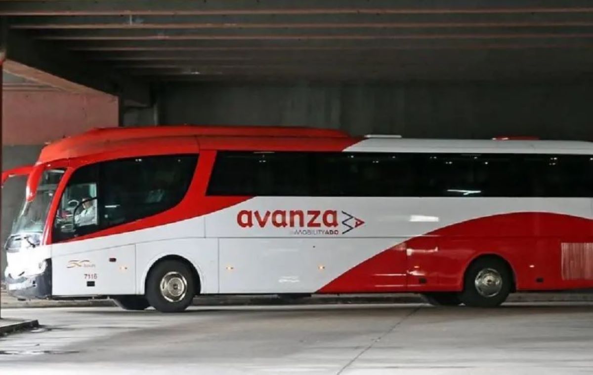Imagen de un autobús de Avanza. Foto: SLT