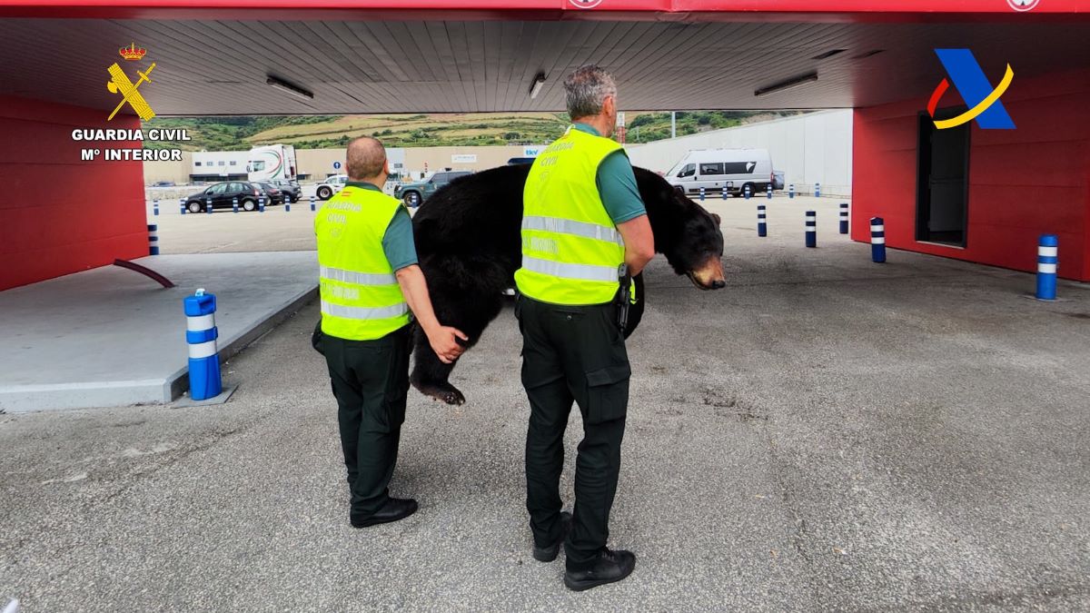 Foto: Guardia Civil/Agencia Tributaria