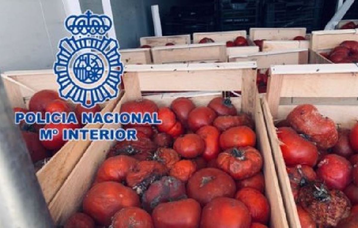 Imagen de las hortalizas podridas entre las que estaba oculta la marihuana. Foto: Policía Nacional