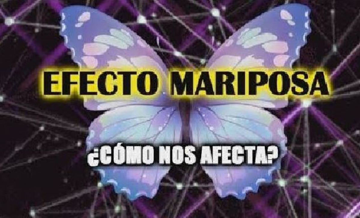 Imagen de la teoría del efecto mariposa. Foto de archivo