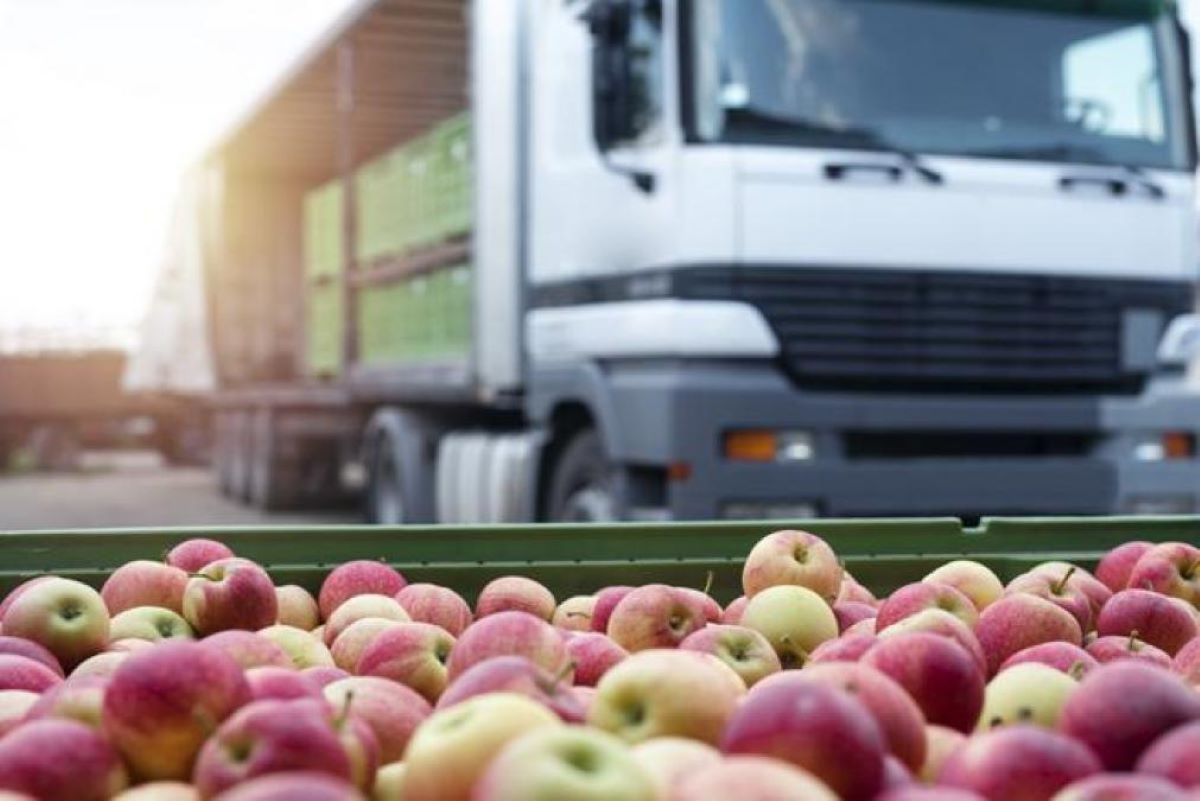 Imagen de un transporte de fruta. Foto de archivo