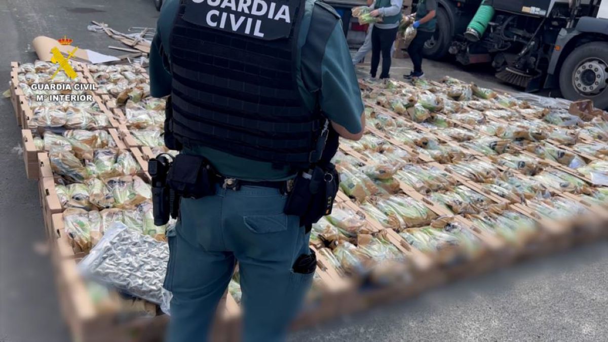 Imagen de la droga incautada camuflada entre lechugas. Foto: Guardia Civil