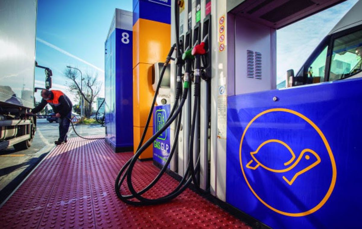 Imagen de una estación de servicio de OnTurtle. Foto: OnTurtle