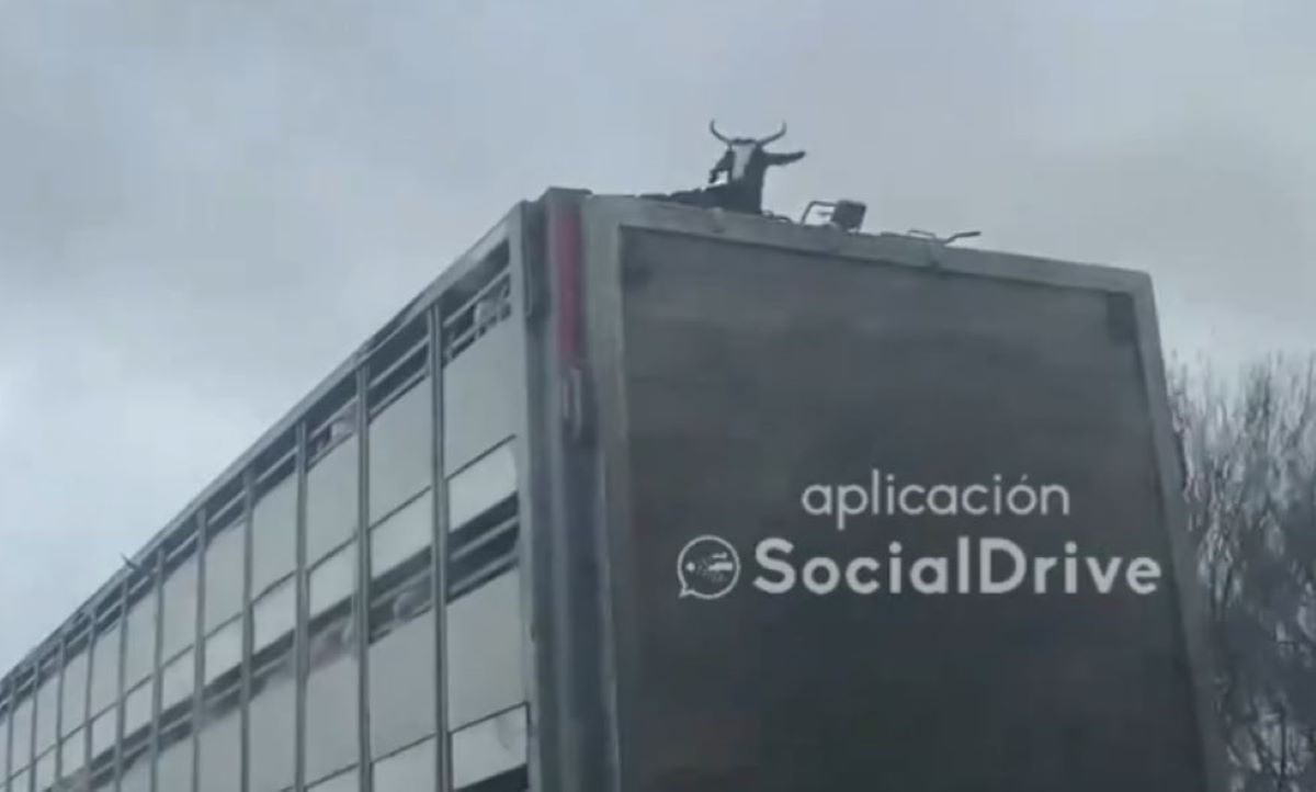 Foto: Vídeo SocialDrive