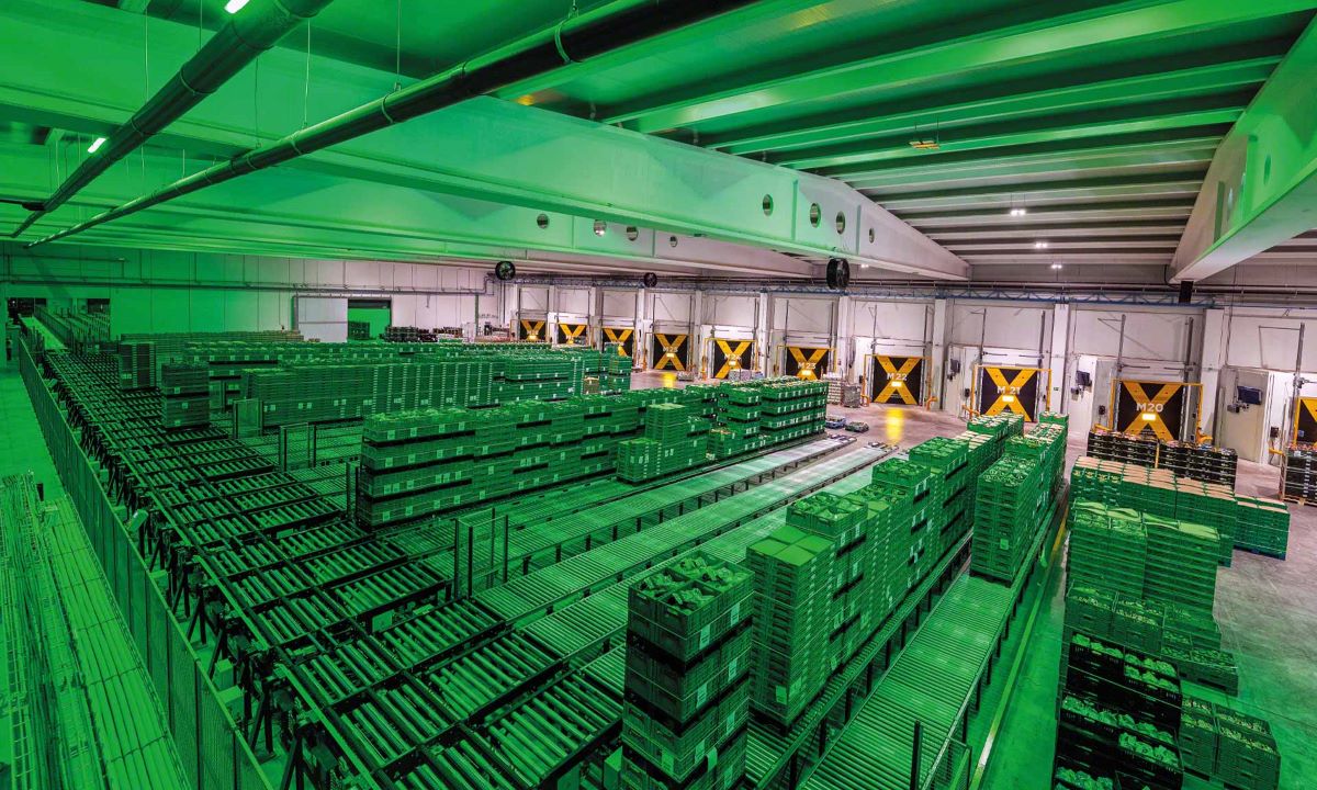 Imagen del interior de Patatas Meléndez con tecnología Mecalux. Fotos: Mecalux