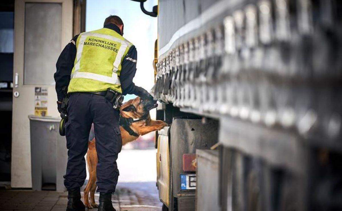 Foto: Real Policía Militar de los Países Bajos