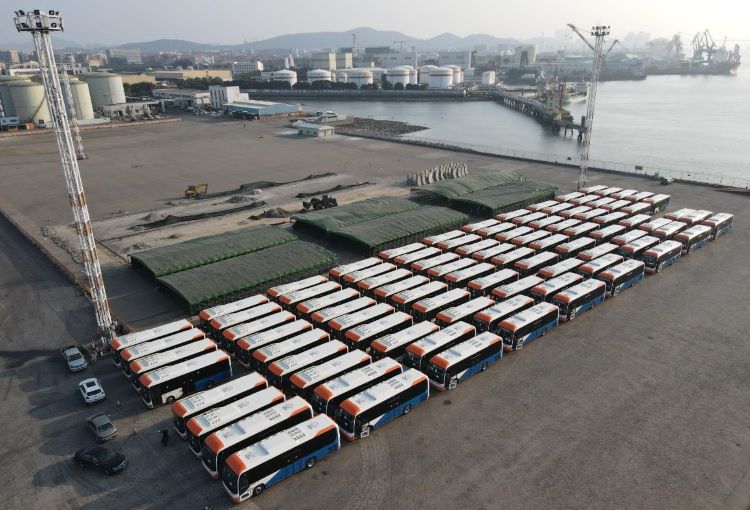 Flota King Long exportación Chipre