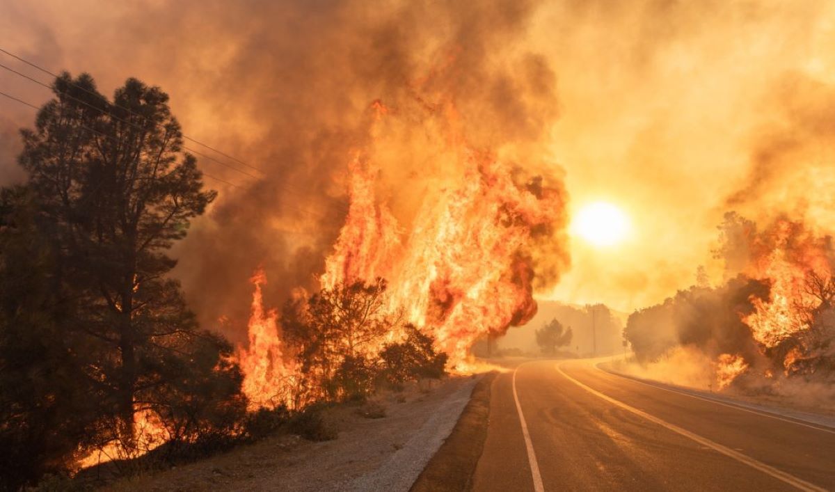 Imagen de un incendio cerca de una carretera. Foto de archivo