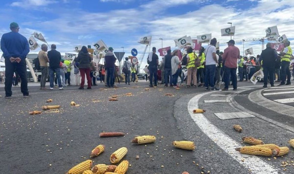 Imagen de la protesta