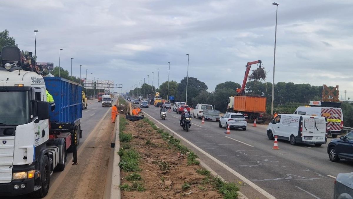 Foto: Ministerio de Transportes y Movilidad Sostenible