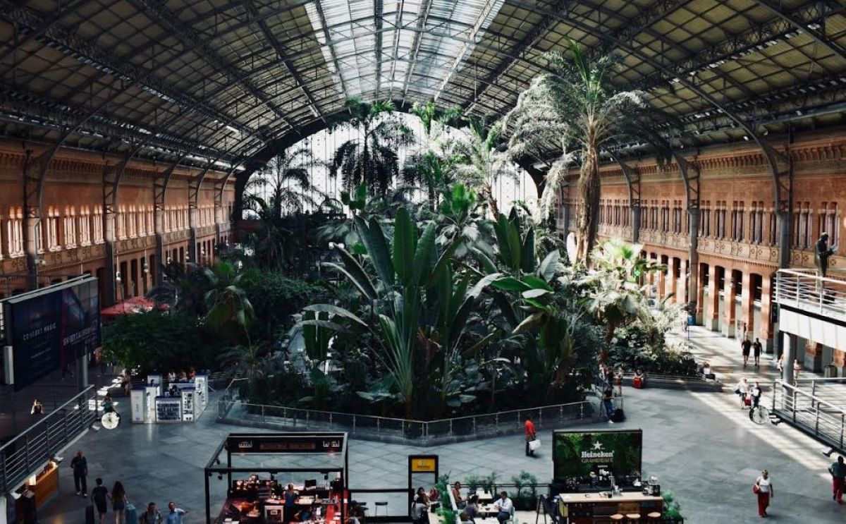 Foto: Jardín Tropical de la Estación de Atocha