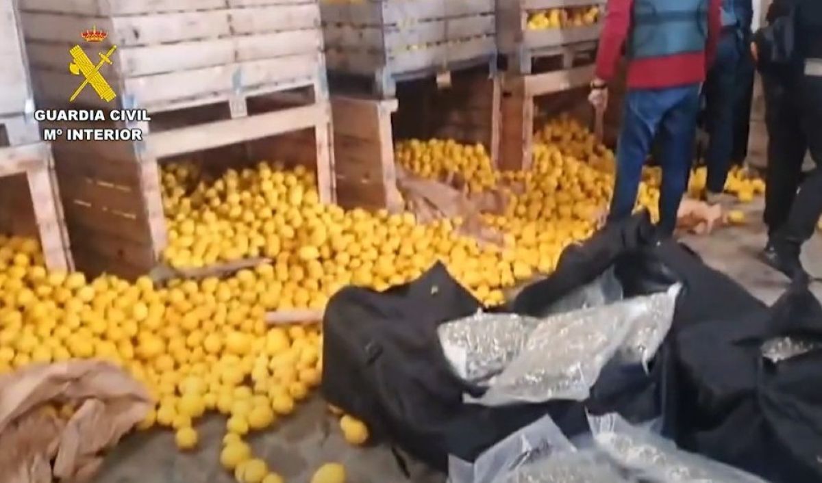 Foto: Vídeo Guardia Civil