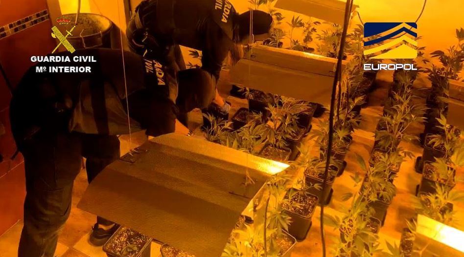 Imagen de 37 detenidos de una red criminal que enviaba cargamentos de hachís y marihuana a Europa.