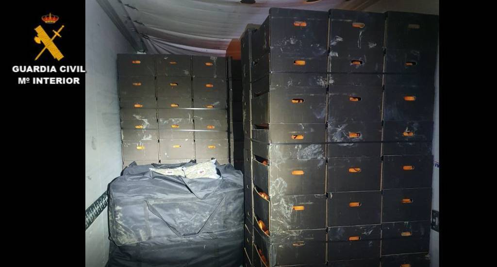 Droga incautada entre cajas de naranjas en un camión