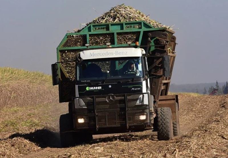 640 camiones Mercedes-Benz Axor para la cosecha automatizada en Brasil