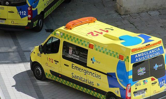 ACCIDENTELEON