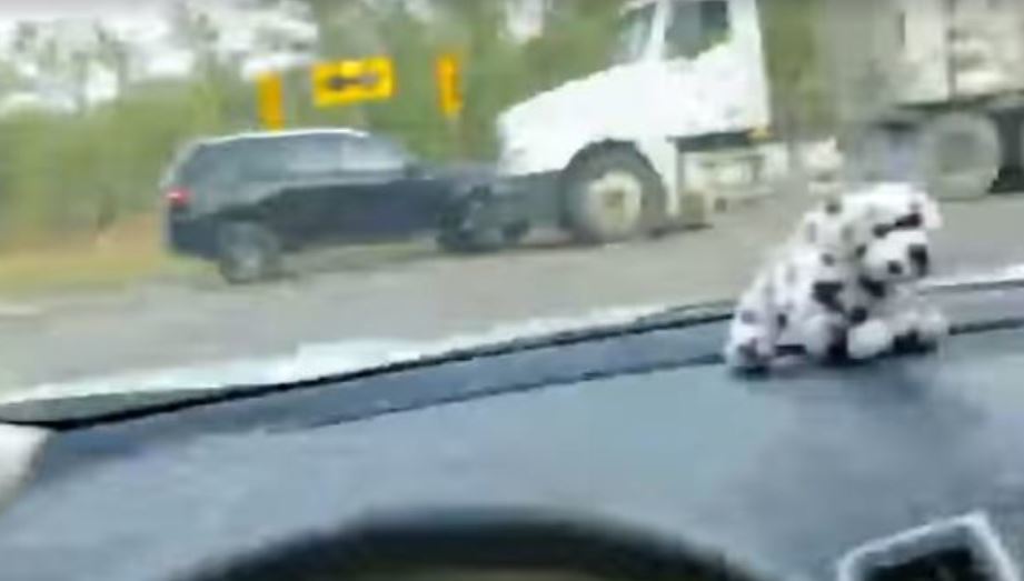 Imagen del vídeo