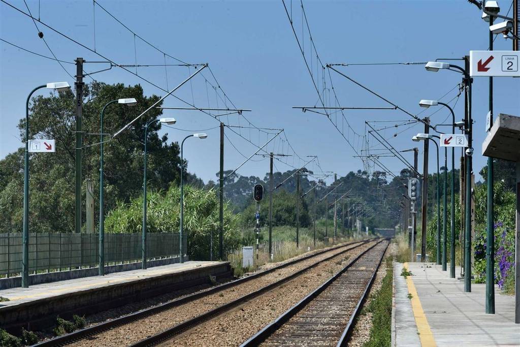 Imagen de unas vías de tren