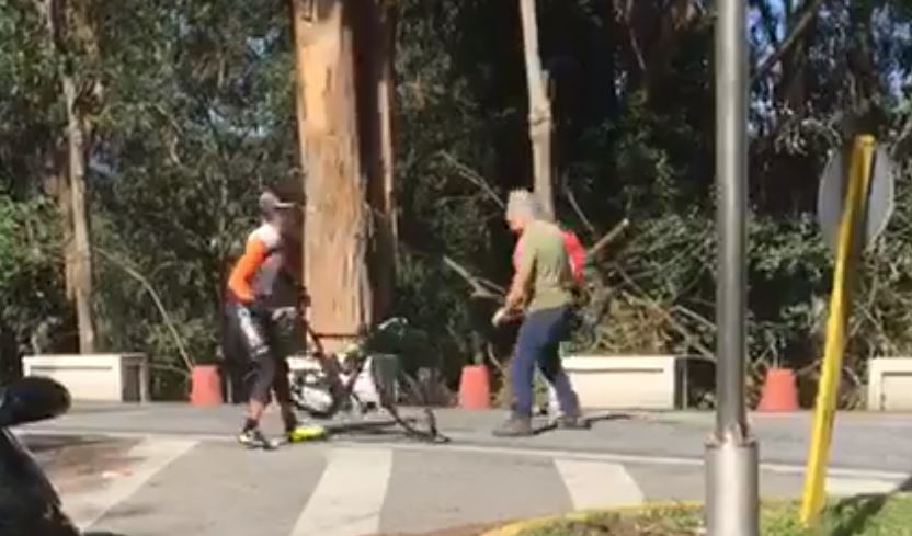 Imagen del vídeo