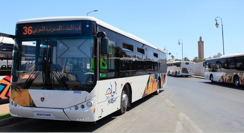 Imagen de autobuses de Alsa en Marruecos