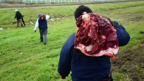 ARGENTINACAMIONGANADO