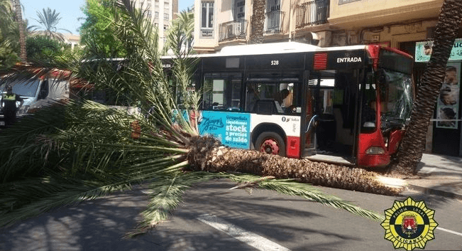AUTOBUSALICANTE