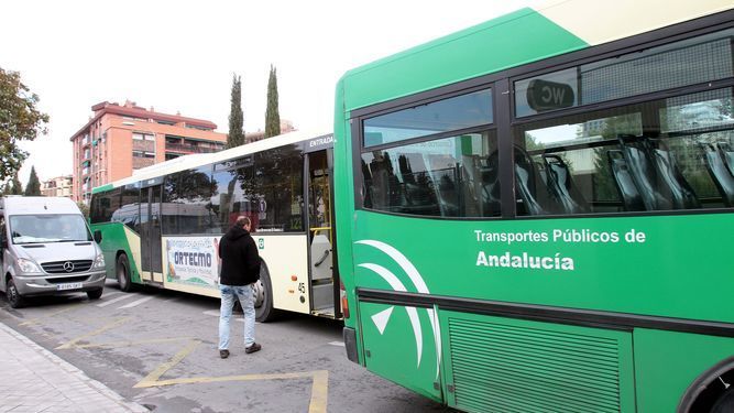 Autobuses del Consorcio Metropolitano de Andalucía.