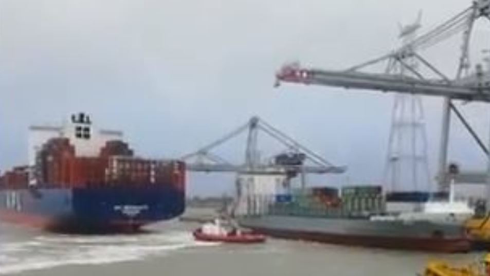 Imagen del vídeo