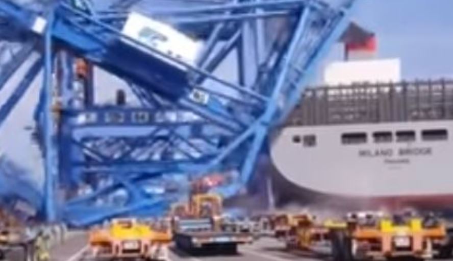 Imagen del vídeo