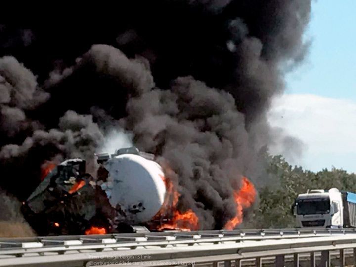 BURGOSARDECAMION