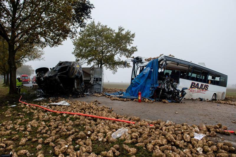 CAMINIONYBUSFRANCIA