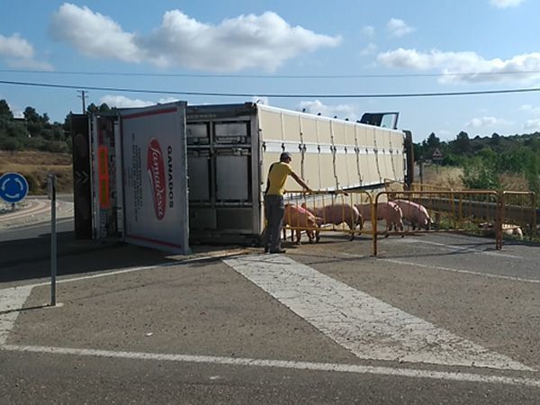 CAMIONCERDOS CAMIONCERDOS
