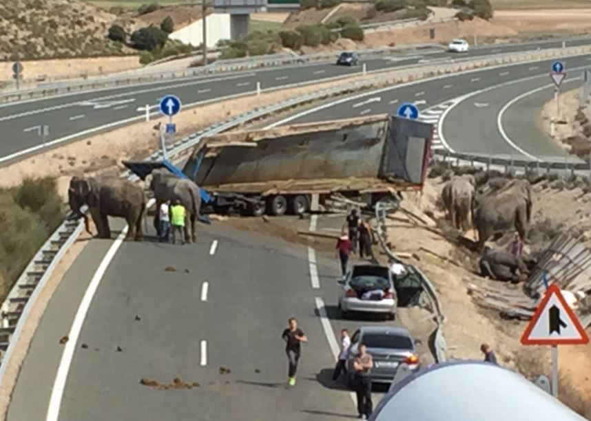 Lugar del accidente en la A-30