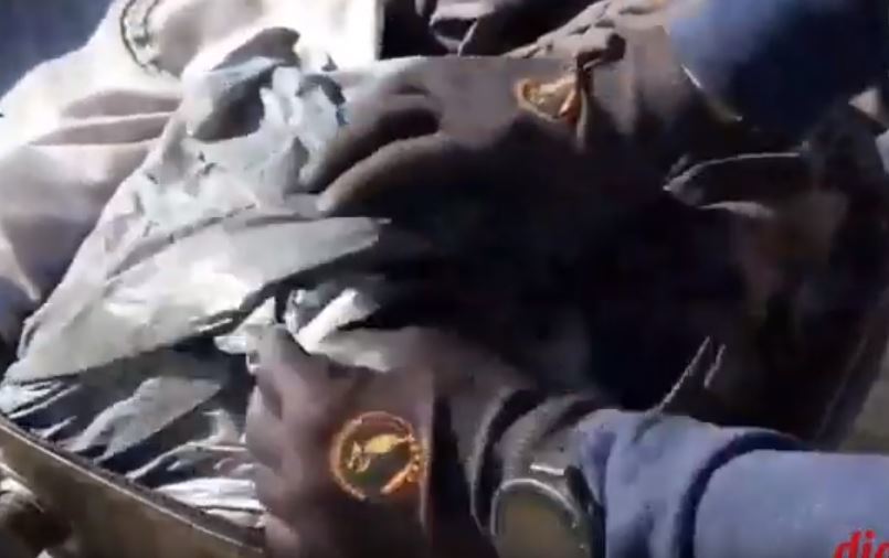 Imagen del vídeo