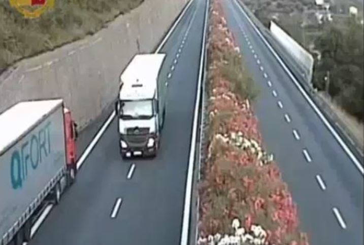Imagen del vídeo