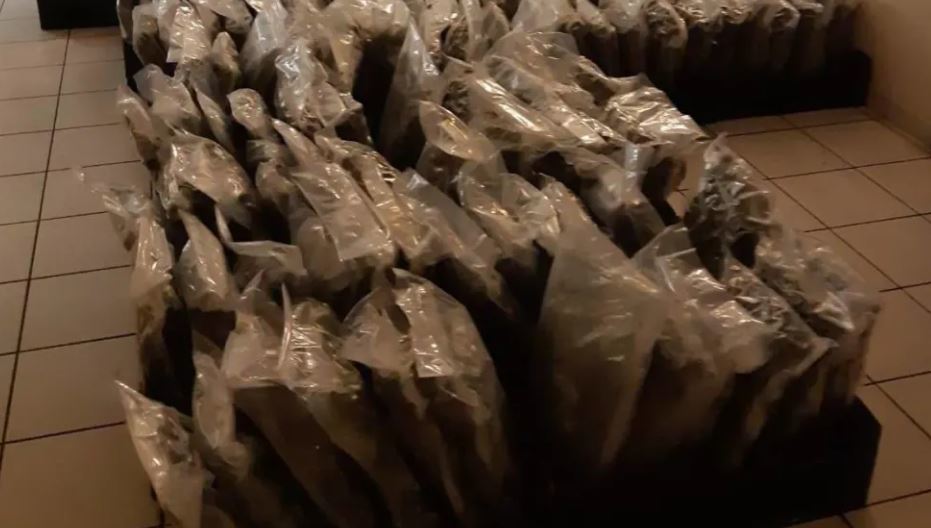 Imagen de la droga incautada