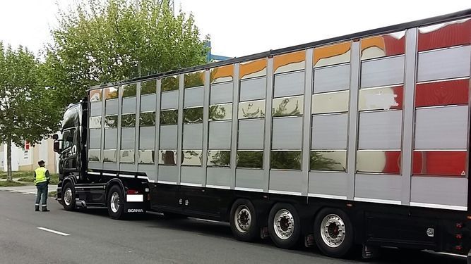 CAMIONGANADOMULTA CAMIONGANADOMULTA