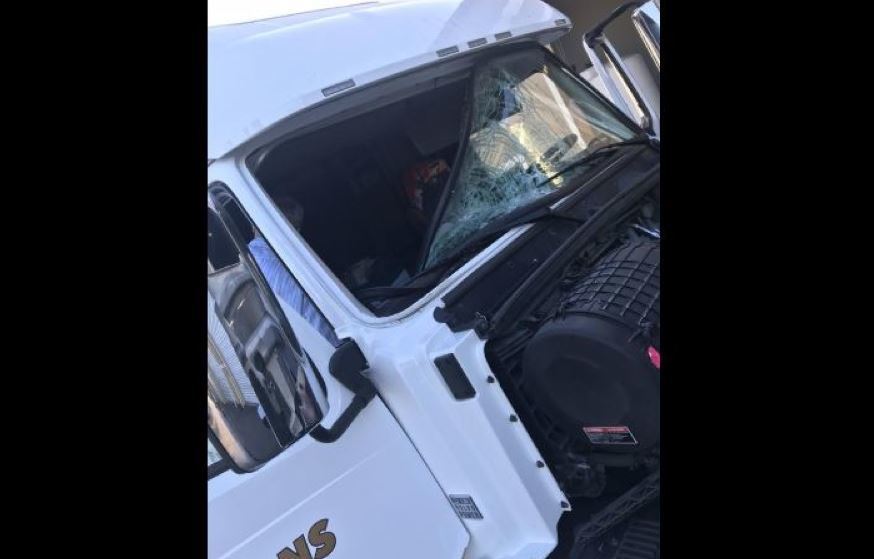 Imagen del parabrisas del camión tras el impacto de un pavo silvestre