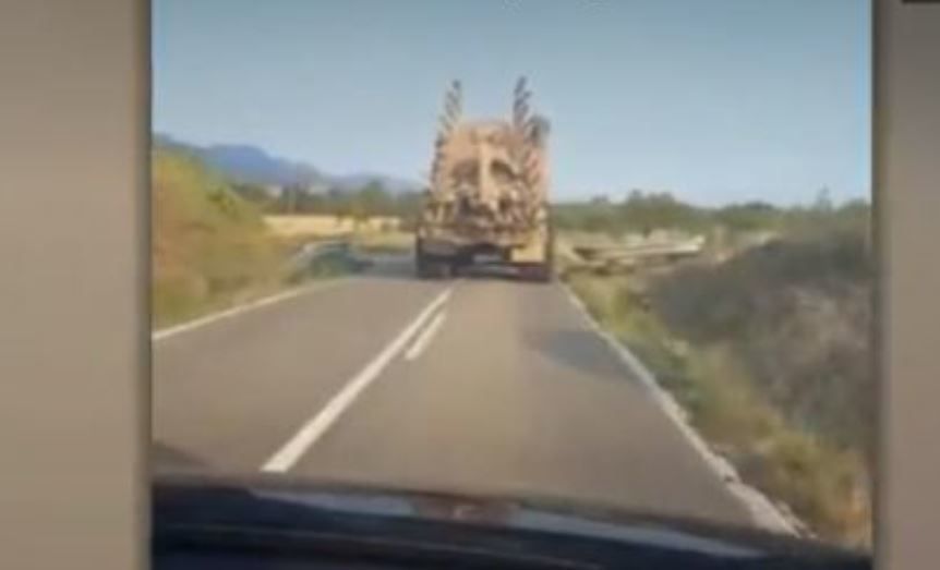 Imagen del vídeo