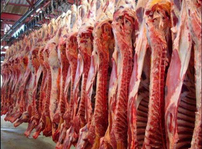 CARNEMERCADONA