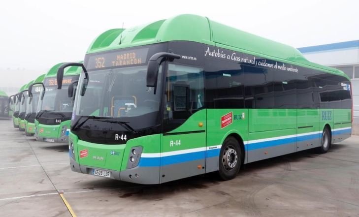 Imagen del los autobuses