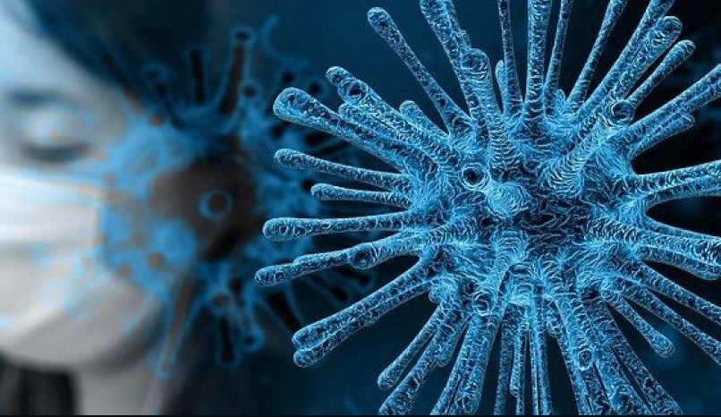 Imagen de un coronavirus