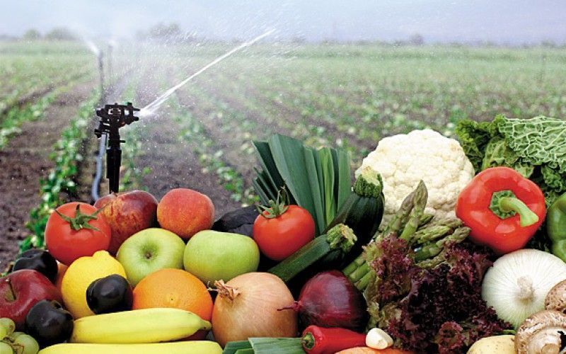 Imagen de frutas y verduras