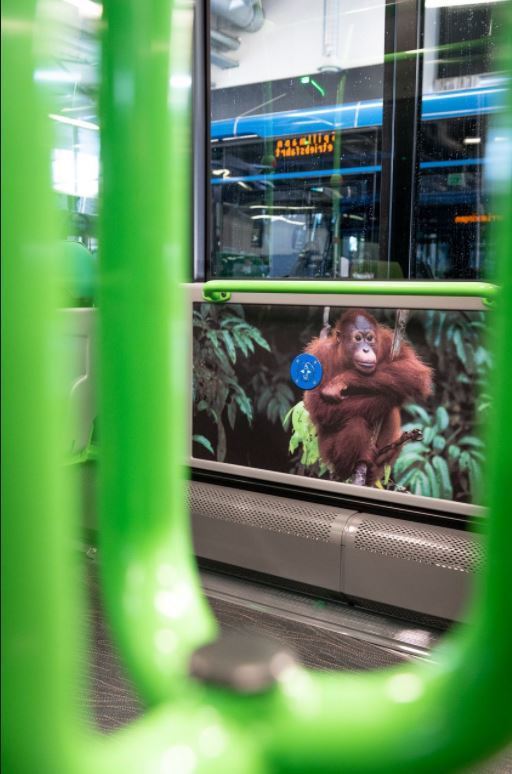  /></a></p><p><strong><span>Concepto de accionamiento moderno: equipo compatible con pandemias</span></strong></p><p><span>Spillmann ha pedido todos sus modelos híbridos Citaro con el módulo híbrido compacto. El económico motor diésel está asistido por la potencia adicional de un motor eléctrico de 14 kW de alta eficiencia. Genera energía durante la marcha por inercia y el frenado y, por lo tanto, es compatible con el sistema de propulsión convencional al arrancar. Dependiendo de la operación y la topografía específicas, esto puede reducir el consumo de combustible hasta en un 8.5 por ciento. Además, el sistema de asistencia Sideguard Assist también está instalado en todos los vehículos. Sideguard Assist basado en radar ayuda al conductor del autobús a realizar giros críticos a la derecha. </span></p><p><span>Para una protección antivirus eficaz en el lugar de trabajo del conductor, todos los vehículos ya están equipados con una gran pantalla divisoria para el conductor y un sistema de aire acondicionado que permite un control independiente del lugar de trabajo del conductor y del habitáculo. Antes de que el autobús entre en servicio regular, todos los filtros del vehículo serán reemplazados por filtros de partículas de alto rendimiento con una capa funcional antiviral para garantizar una protección óptima contra COVID-19. </span></p><p> </p><p><a href=