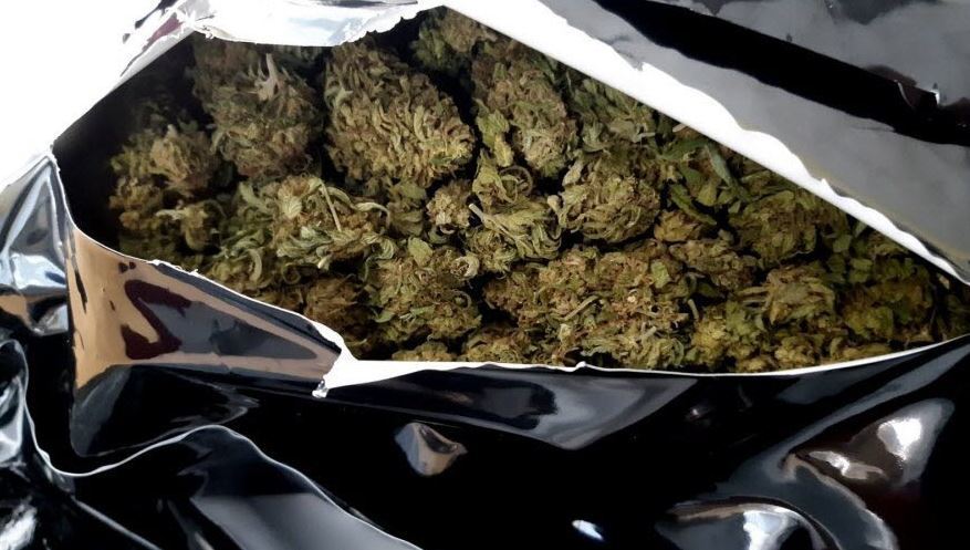 Condenado un camionero español a 8 meses de prisión por transportar 25 kg de cannabis