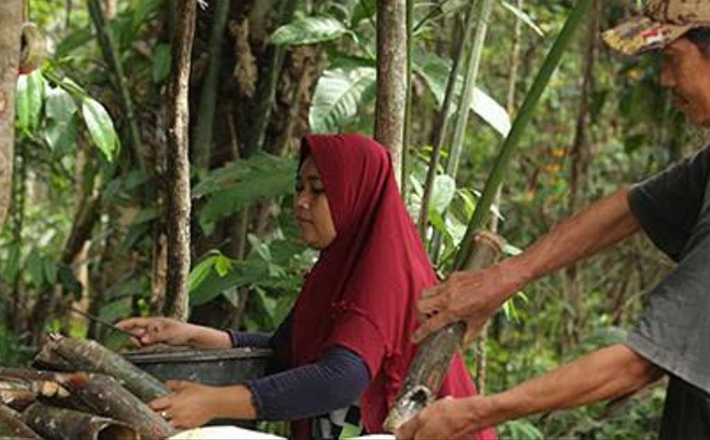 imagen del caucho de Indonesia que utiliza Continental