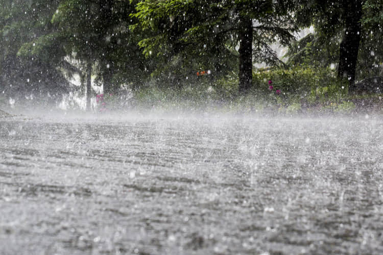 Imagen de lluvia en una carretera